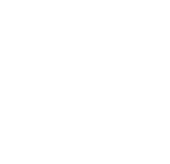身体・運動感覚的知能